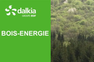 Lire la suite à propos de l’article Quel est le parcours du bois-énergie ?